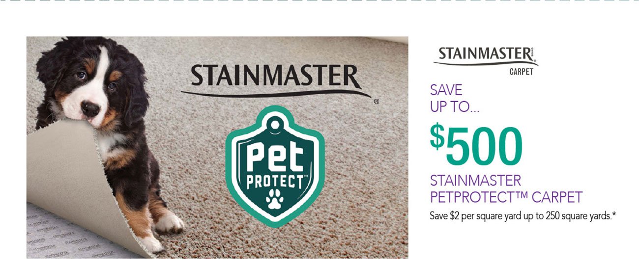 Shop-stainmaster-pet-protect-carpet