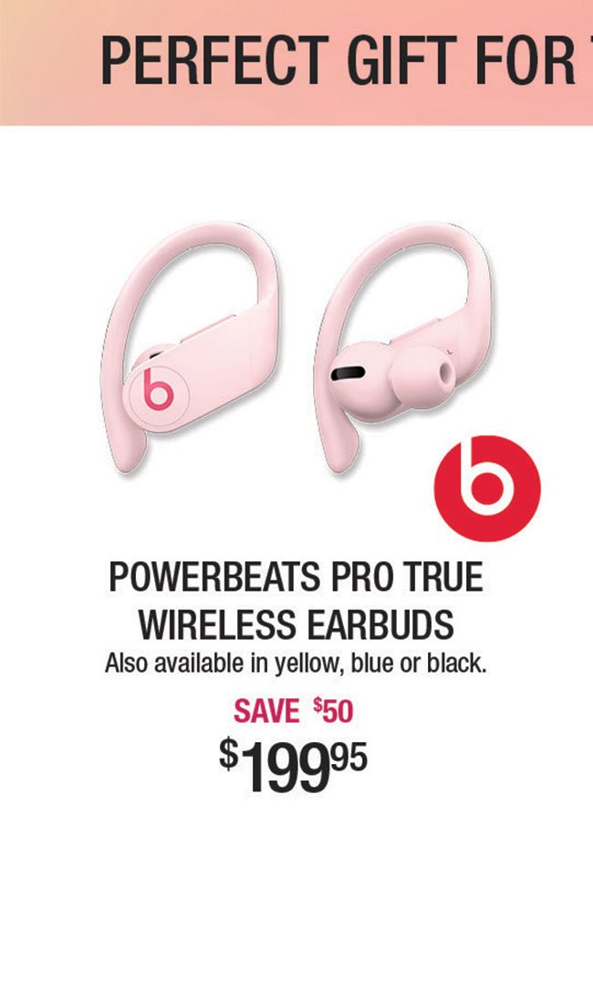 PowerBeats-Pro-True-Wireless-Earbuds