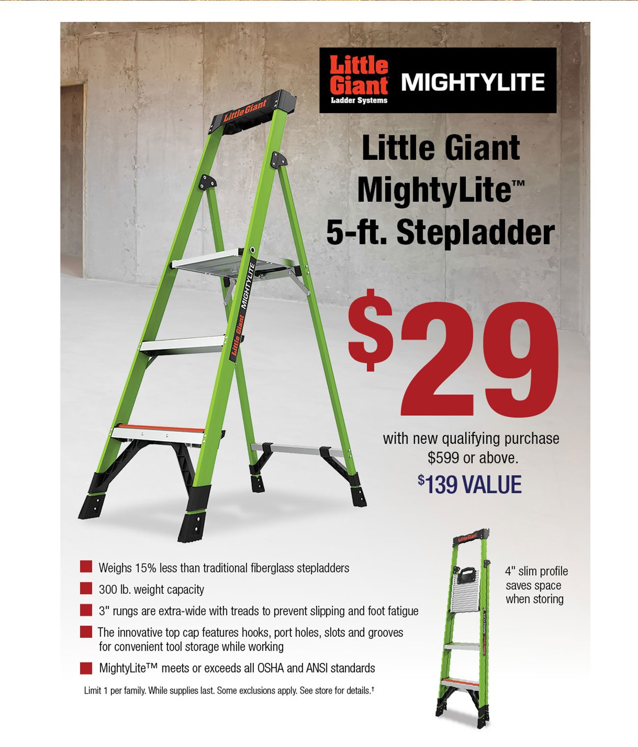 Little-giant-ladder