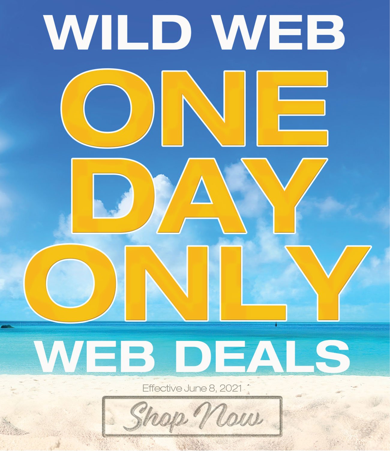 Wild-web-deals