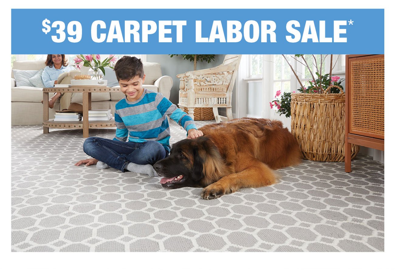 Carpet-labor-sale