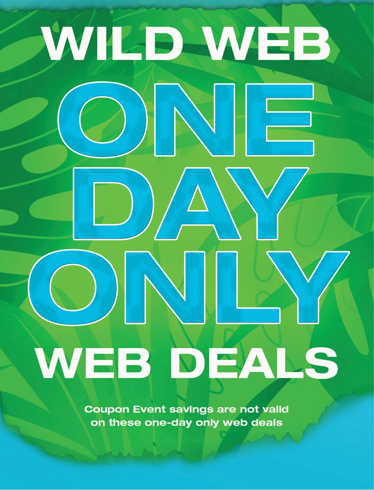 Wild-web-deals