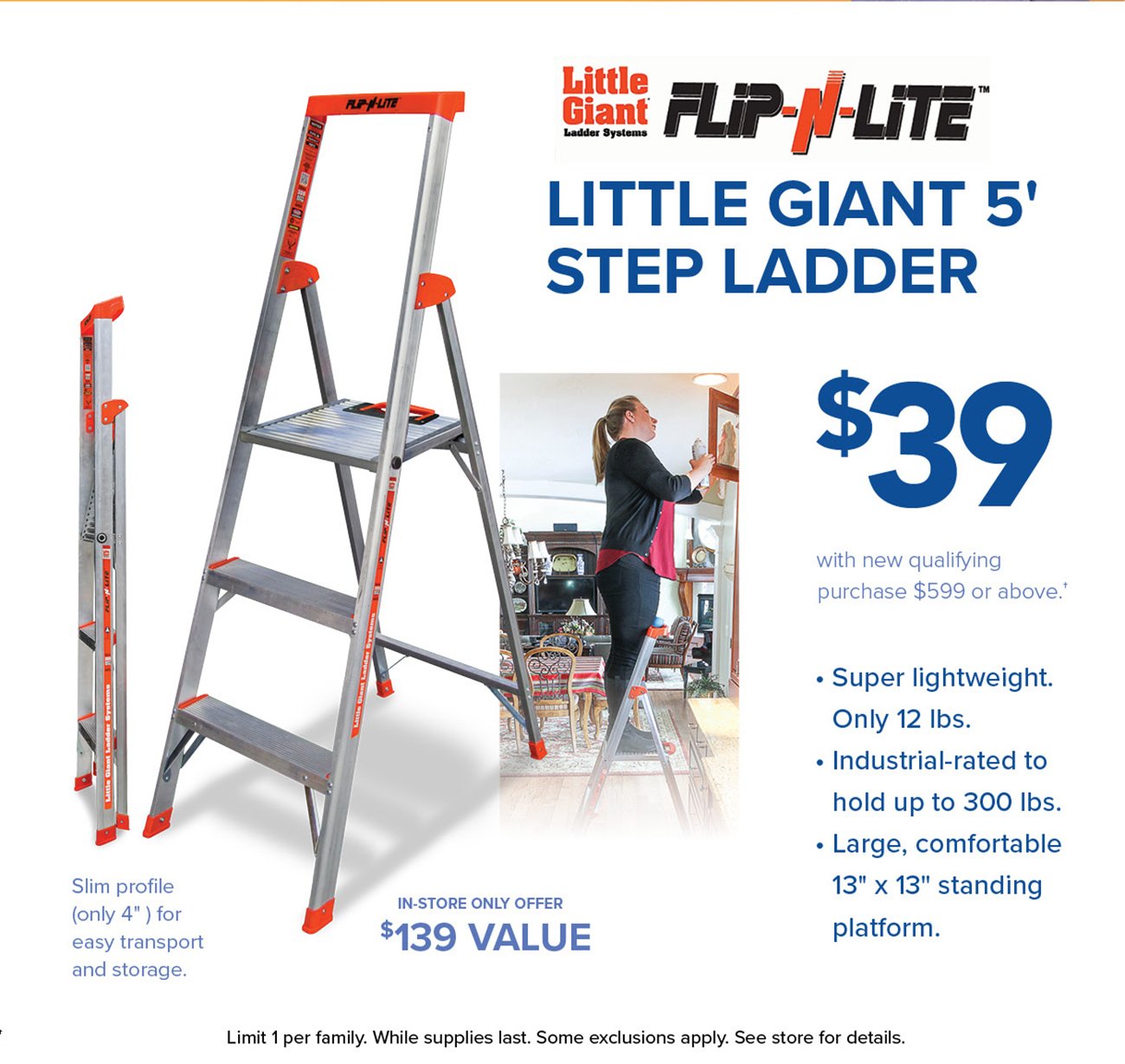 Little-giant-step-ladder