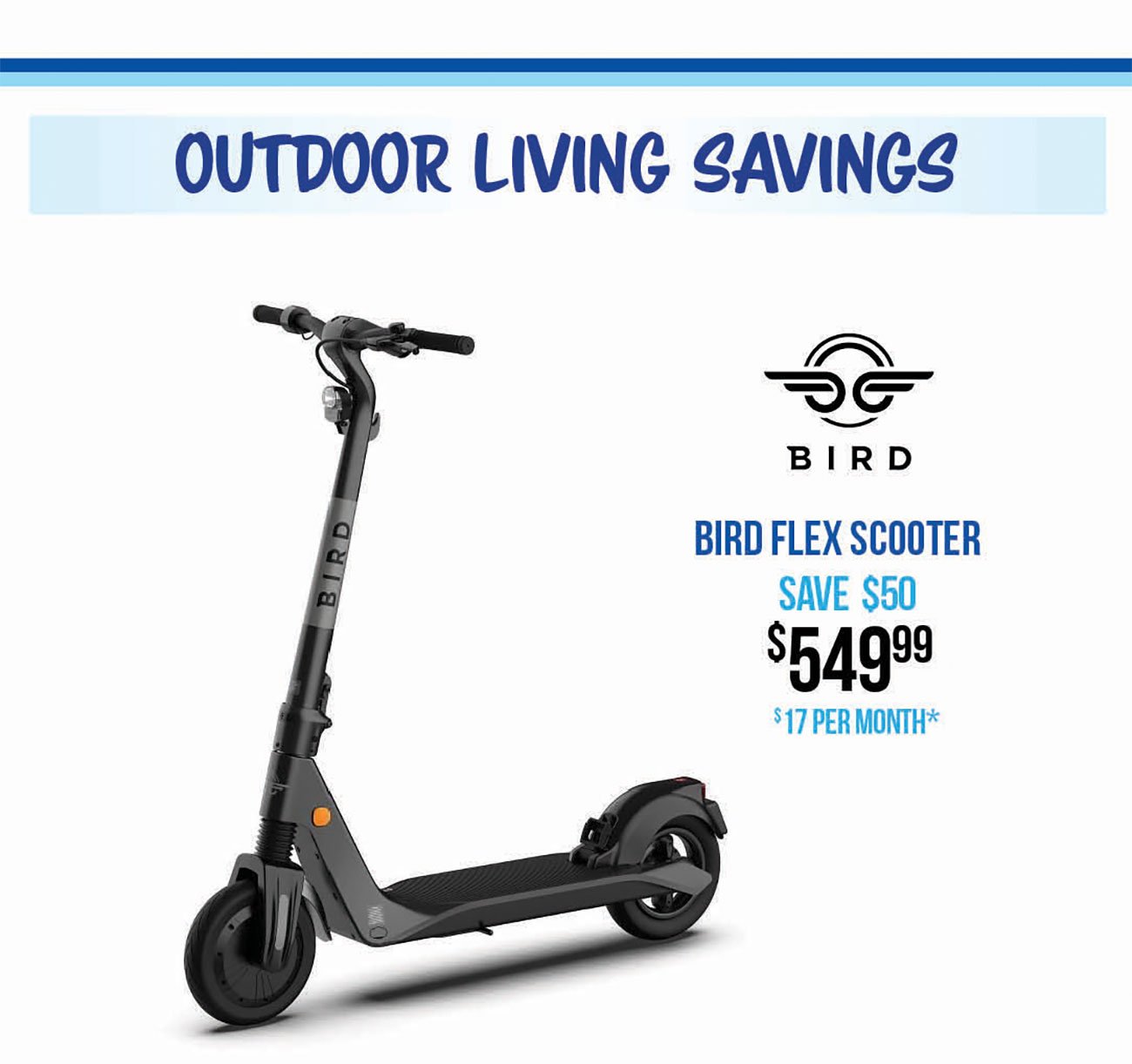 Bird-Flex-Scooter