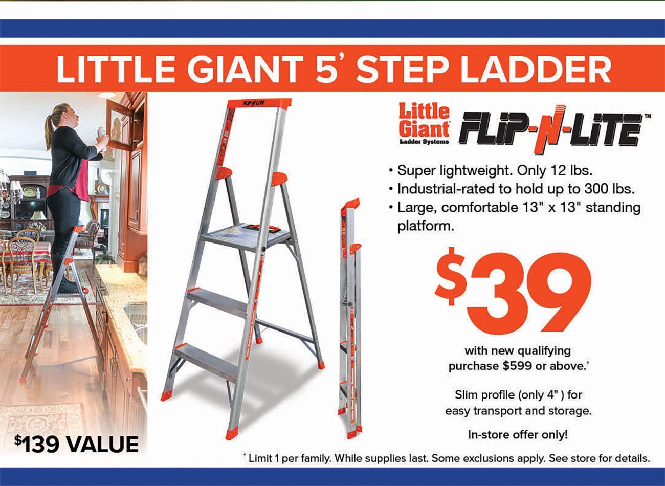 Little-Giant-Ladder-Premium