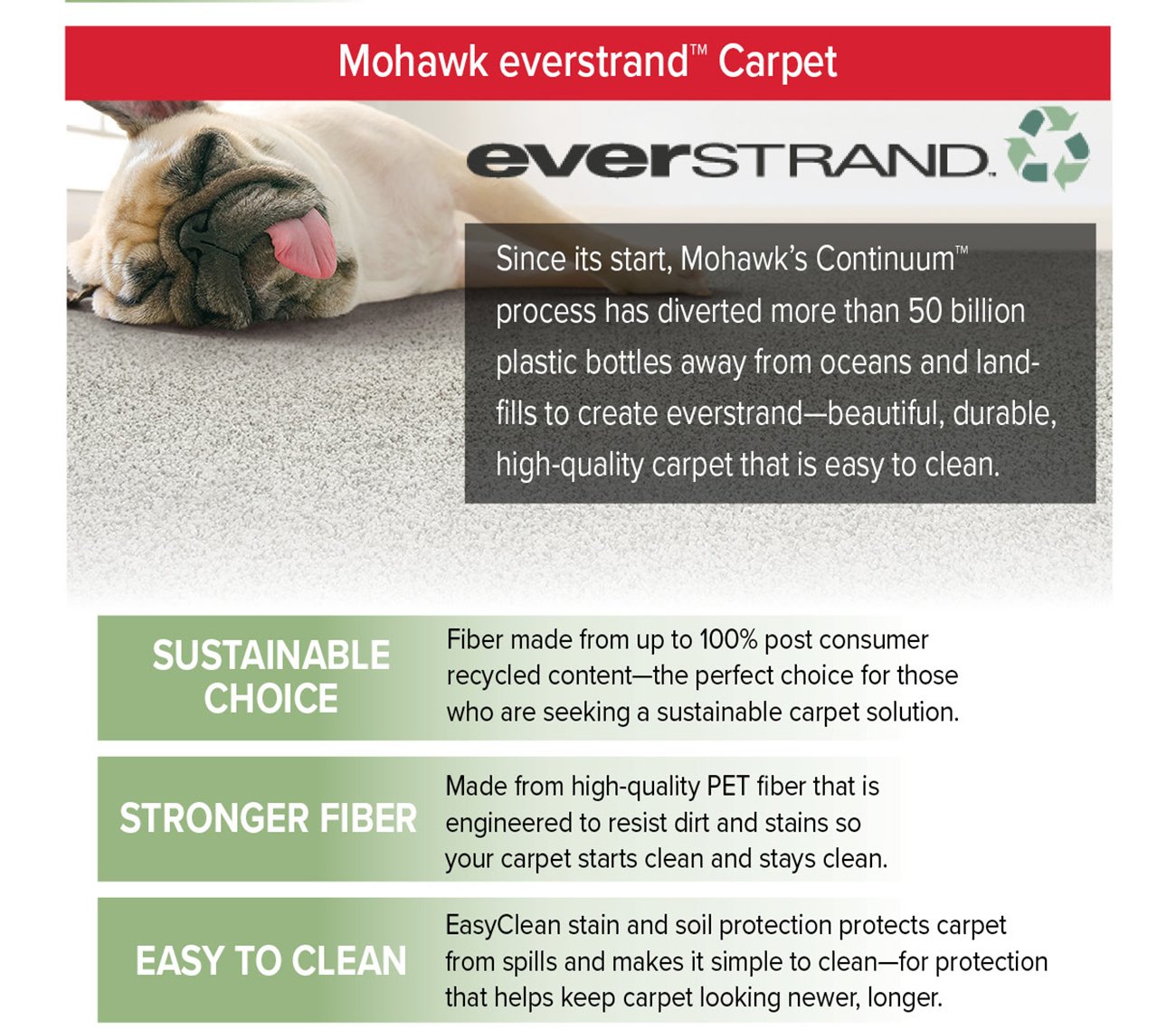 Mohawk-everstrand-carpet