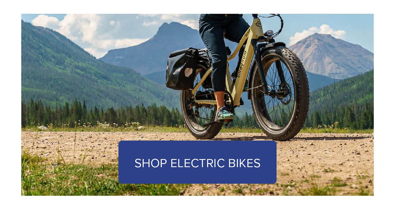 Shop-electric-bikes