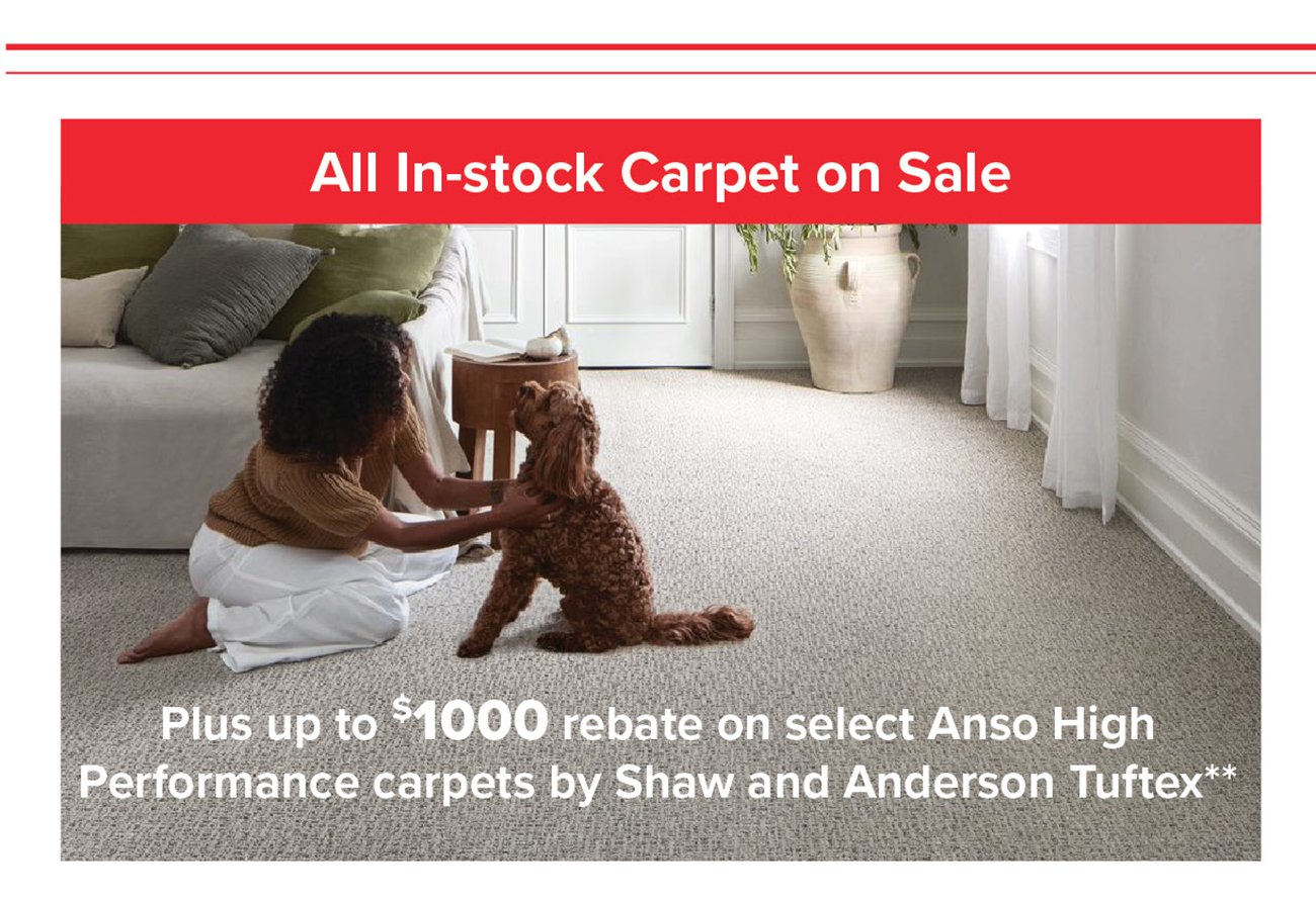 Shop-instock-carpet