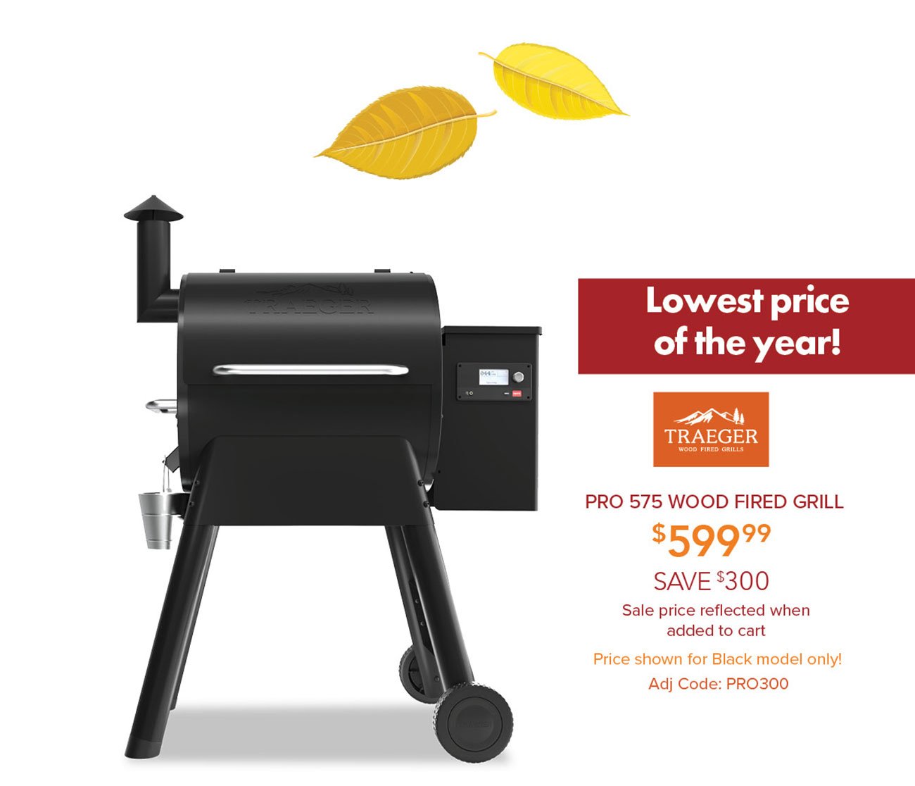 Traeger-wood-fired-grill