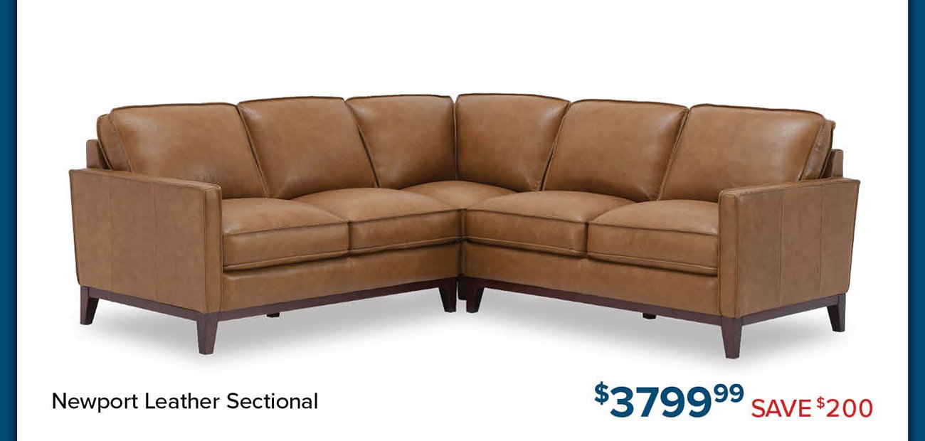 Newport-leather-sectional