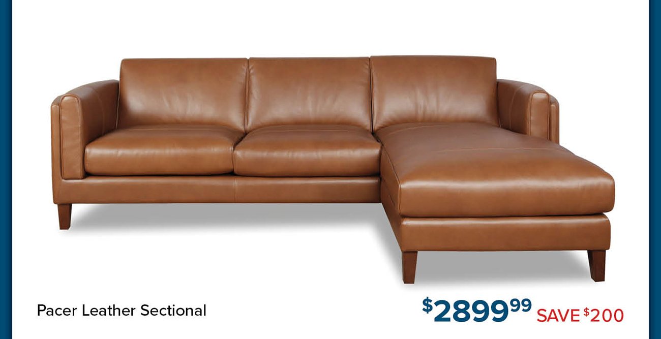 Pacer-leather-sectional