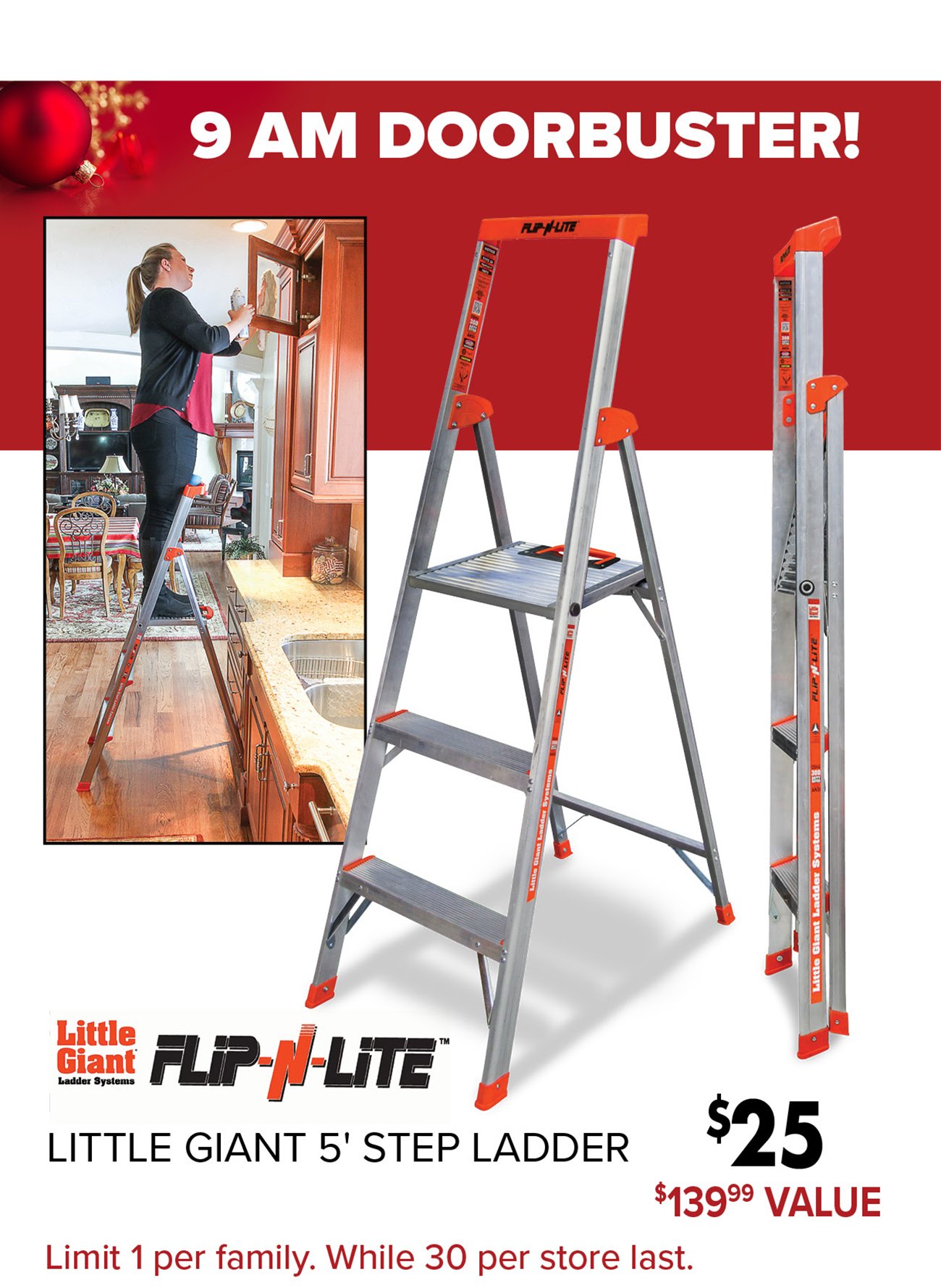 Little-giant-ladder