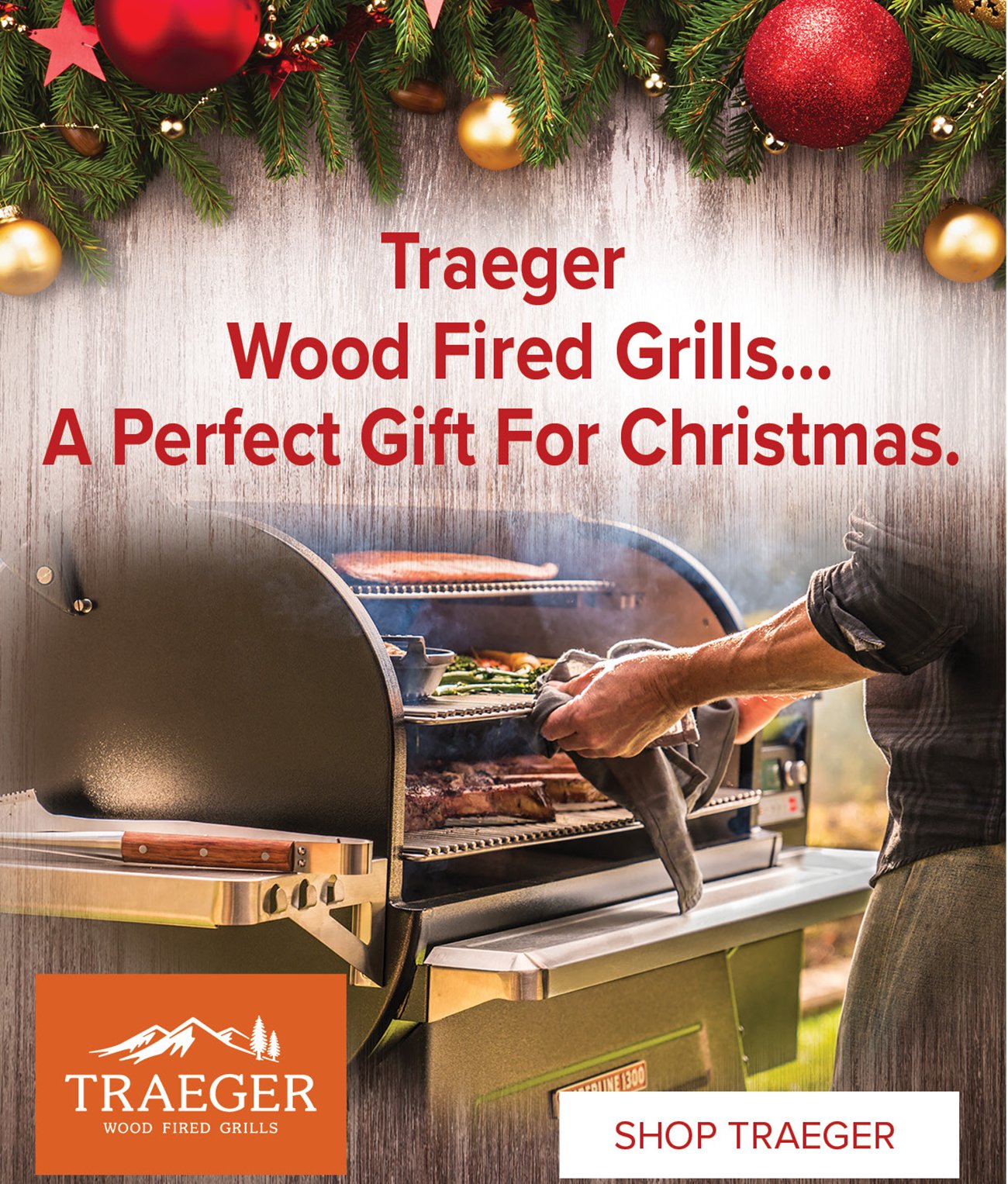 Shop-Traeger-Wood-fired-grills