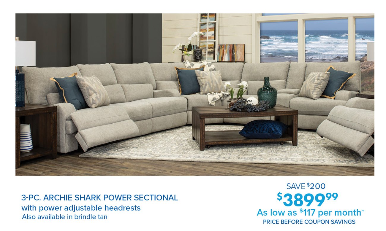 Archie-shark-power-sectional