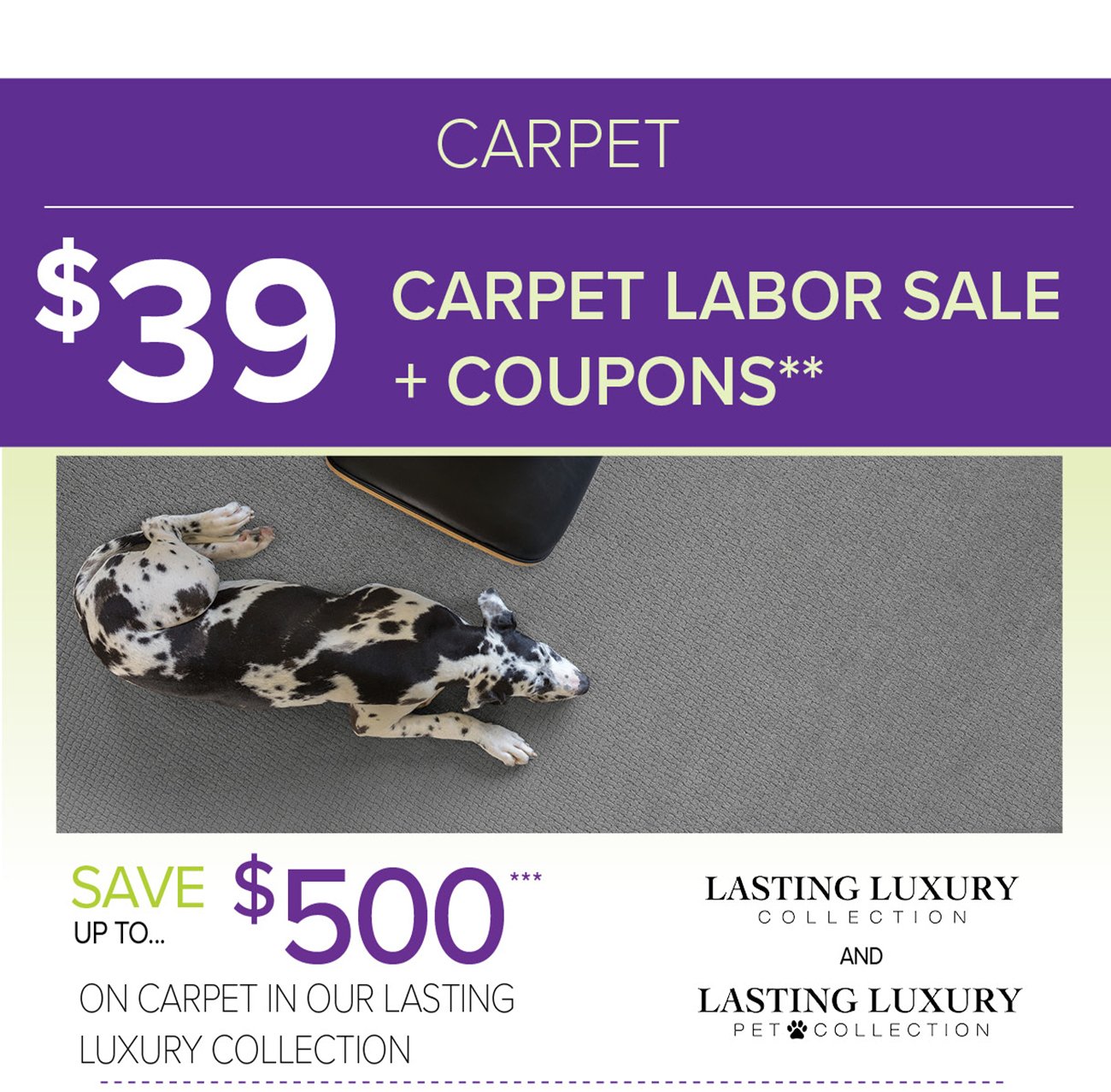 Shop-carpet