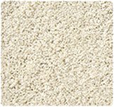 example of shag/frieze carpet