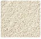 Stainmaster Shag / Frieze Carpet