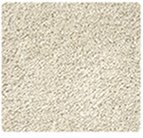 Stainmaster Texture Carpet