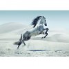 White and Gray Horse Tempered Glass Canvas Artwork