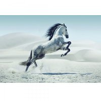 White and Gray Horse Tempered Glass Canvas Artwork