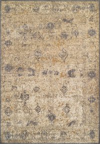 AQ1GR5X8 5 x 8 Medium Ivory and Gray Area Rug - Antiquity-1