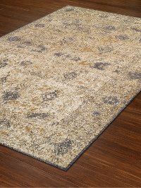 AQ1GR5X8 5 x 8 Medium Ivory and Gray Area Rug - Antiquity-3