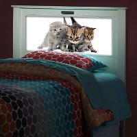 20348 Montgomery White Twin LightHeaded Headboard