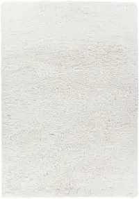 Osim 5 x 8 White Shag Rug