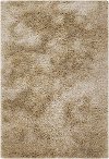 5 x 8 Medium Contemporary Beige Shag Rug - Naya