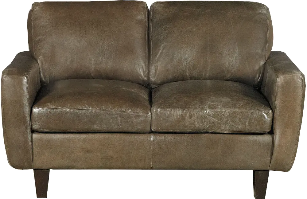 Urban Brown Classic Contemporary Leather Loveseat-1