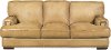 Classic Contemporary Tan Leather Sofa - Fusion