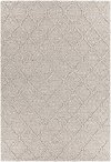 5 x 8 Medium Contemporary Gray Area Rug - Sujan