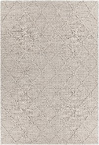5 x 8 Medium Contemporary Gray Area Rug - Sujan