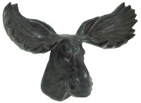 16 Inch Moose Trophy Head
