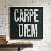 Clearance Black and White Carpe Diem Canvas Wall Decor