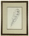 Feather Sketch II Framed Wall Art