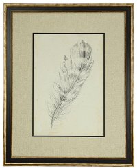 Feather Sketch II Framed Wall Art