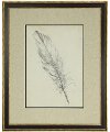 Feather Sketch III Framed Giclee Print Under Glass