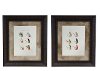 Assorted Lake Flies Framed Wall Art