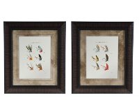 Assorted Lake Flies Framed Wall Art