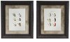Lake Flies Wall Art - Set of 2