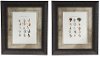 Assorted Trout Flies Framed Wall Art