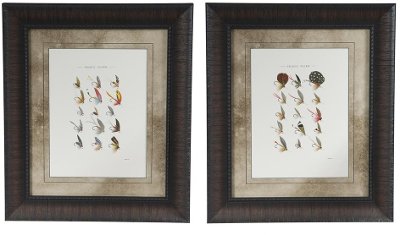 Assorted Trout Flies Framed Wall Art