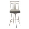Gray & Stainless Metal Counter Height Stool (30 Inch) - Cleo