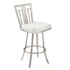 White & Stainless Metal Counter Height Stool (30 Inch) - Cleo