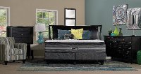 700730103-1050 Beautyrest Luxury Firm Pillow Top Queen Mattress - Black Katarina