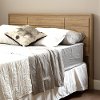9068256 Rustic Oak Panel Queen Headboard (60 Inch) - Gravity