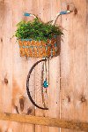 Front Basket Metal Bicycle Wall Decor and Planter-2