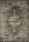 5 x 8 Medium Brown and Beige Area Rug - Sonoma