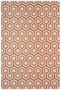 4 x 6 Small Coral Indoor-Outdoor Rug - Honeycombs